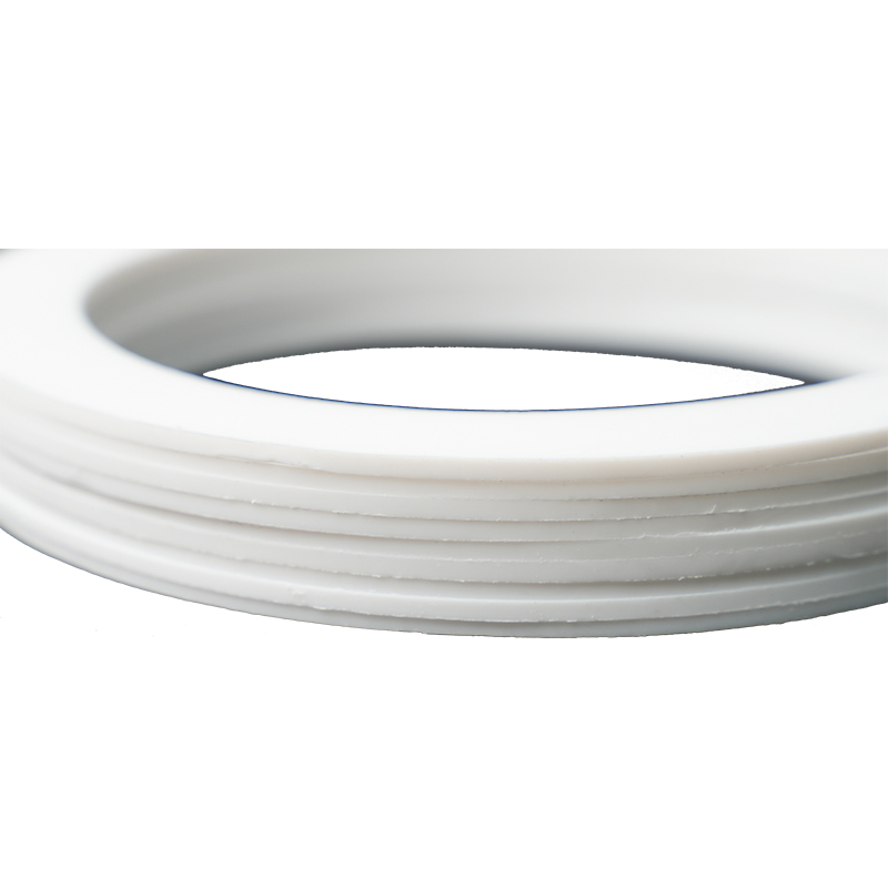 PTFE Gasket